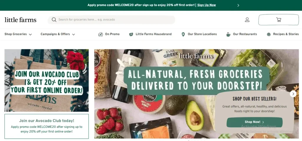 Homepage screenshot of the Little Farms online store featuring promotional banners for 20% off the first order and all-natural grocery delivery.